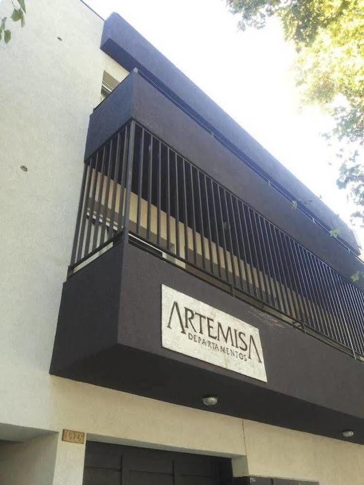 Departamentos Artemisa Apartment Мендоса Екстериор снимка